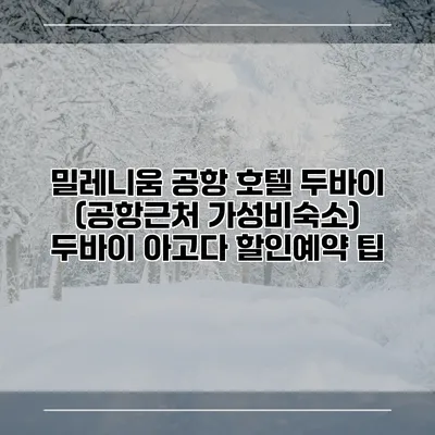 밀레니움 공항 호텔 두바이 (공항근처 가성비숙소) 두바이 아고다 할인예약 팁