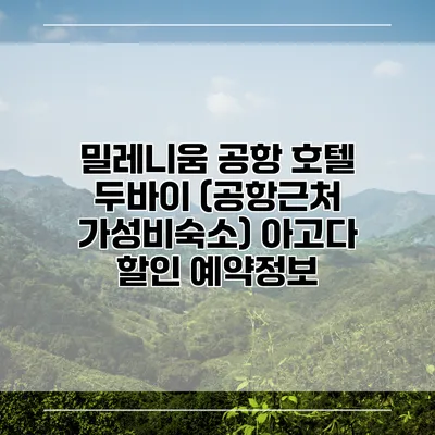 밀레니움 공항 호텔 두바이 (공항근처 가성비숙소) 아고다 할인 예약정보