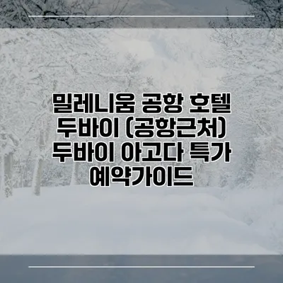 밀레니움 공항 호텔 두바이 (공항근처) 두바이 아고다 특가 예약가이드