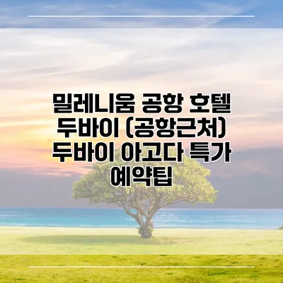 밀레니움 공항 호텔 두바이 (공항근처) 두바이 아고다 특가 예약팁