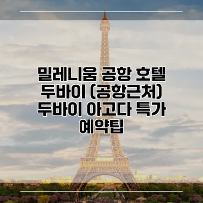 밀레니움 공항 호텔 두바이 (공항근처) 두바이 아고다 특가 예약팁