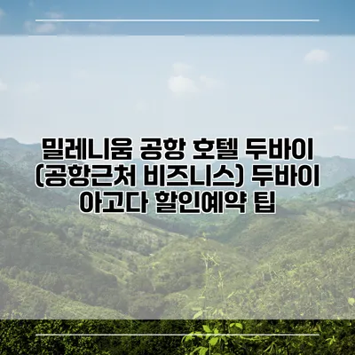 밀레니움 공항 호텔 두바이 (공항근처 비즈니스) 두바이 아고다 할인예약 팁