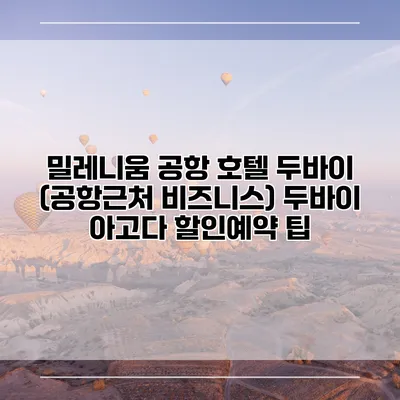 밀레니움 공항 호텔 두바이 (공항근처 비즈니스) 두바이 아고다 할인예약 팁