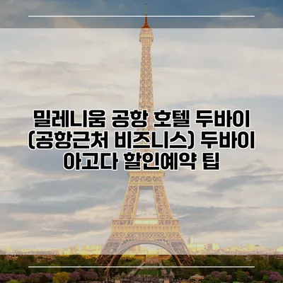 밀레니움 공항 호텔 두바이 (공항근처 비즈니스) 두바이 아고다 할인예약 팁