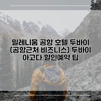 밀레니움 공항 호텔 두바이 (공항근처 비즈니스) 두바이 아고다 할인예약 팁