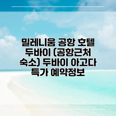 밀레니움 공항 호텔 두바이 (공항근처 숙소) 두바이 아고다 특가 예약정보