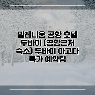밀레니움 공항 호텔 두바이 (공항근처 숙소) 두바이 아고다 특가 예약팁