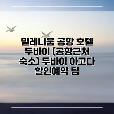 밀레니움 공항 호텔 두바이 (공항근처 숙소) 두바이 아고다 할인예약 팁