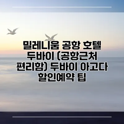 밀레니움 공항 호텔 두바이 (공항근처 편리함) 두바이 아고다 할인예약 팁
