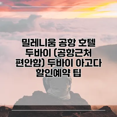 밀레니움 공항 호텔 두바이 (공항근처 편안함) 두바이 아고다 할인예약 팁