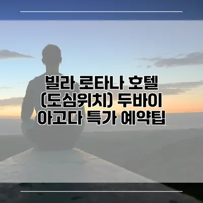 빌라 로타나 호텔 (도심위치) 두바이 아고다 특가 예약팁