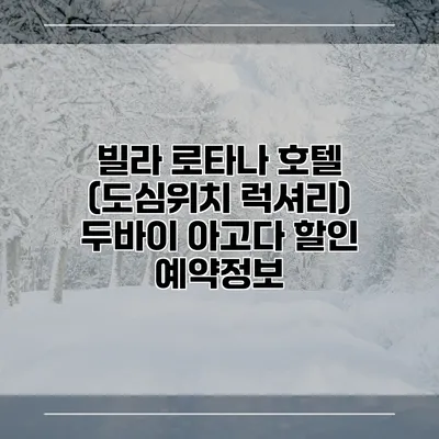 빌라 로타나 호텔 (도심위치 럭셔리) 두바이 아고다 할인 예약정보