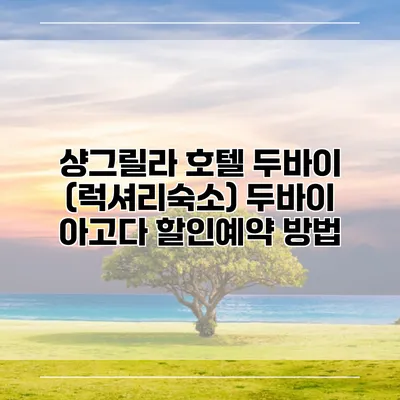 샹그릴라 호텔 두바이 (럭셔리숙소) 두바이 아고다 할인예약 방법
