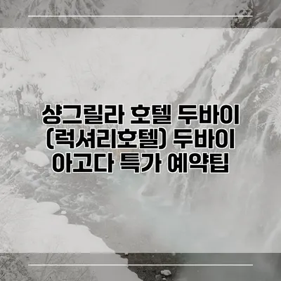샹그릴라 호텔 두바이 (럭셔리호텔) 두바이 아고다 특가 예약팁