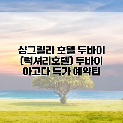 샹그릴라 호텔 두바이 (럭셔리호텔) 두바이 아고다 특가 예약팁