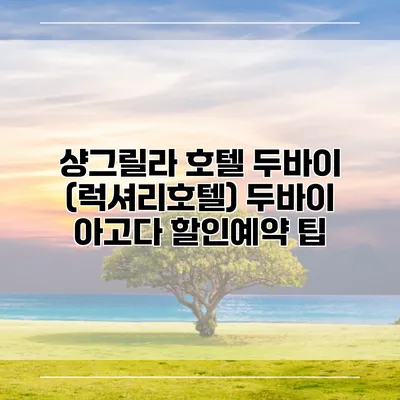 샹그릴라 호텔 두바이 (럭셔리호텔) 두바이 아고다 할인예약 팁