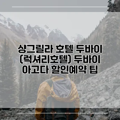 샹그릴라 호텔 두바이 (럭셔리호텔) 두바이 아고다 할인예약 팁