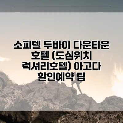 소피텔 두바이 다운타운 호텔 (도심위치 럭셔리호텔) 아고다 할인예약 팁
