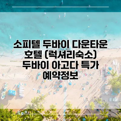 소피텔 두바이 다운타운 호텔 (럭셔리숙소) 두바이 아고다 특가 예약정보