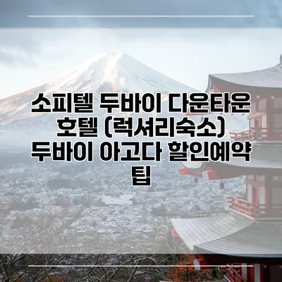 소피텔 두바이 다운타운 호텔 (럭셔리숙소) 두바이 아고다 할인예약 팁
