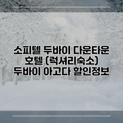 소피텔 두바이 다운타운 호텔 (럭셔리숙소) 두바이 아고다 할인정보