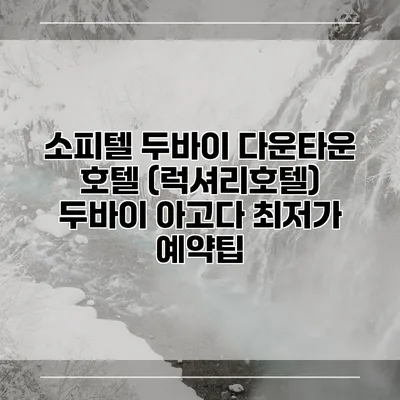 소피텔 두바이 다운타운 호텔 (럭셔리호텔) 두바이 아고다 최저가 예약팁