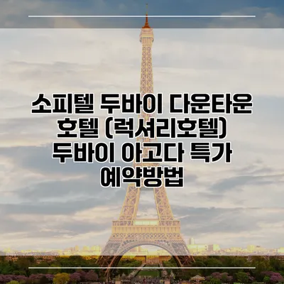 소피텔 두바이 다운타운 호텔 (럭셔리호텔) 두바이 아고다 특가 예약방법