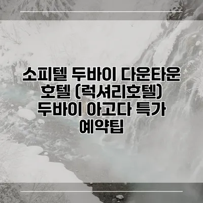 소피텔 두바이 다운타운 호텔 (럭셔리호텔) 두바이 아고다 특가 예약팁
