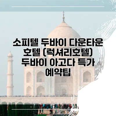 소피텔 두바이 다운타운 호텔 (럭셔리호텔) 두바이 아고다 특가 예약팁