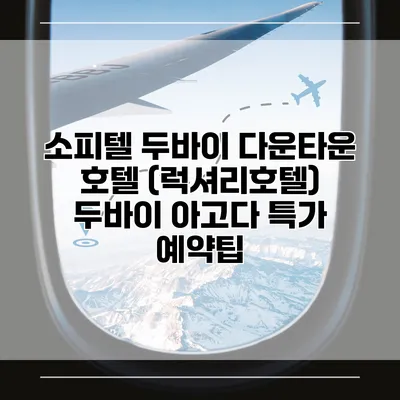 소피텔 두바이 다운타운 호텔 (럭셔리호텔) 두바이 아고다 특가 예약팁