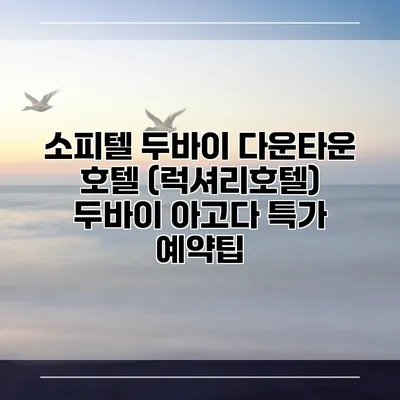 소피텔 두바이 다운타운 호텔 (럭셔리호텔) 두바이 아고다 특가 예약팁