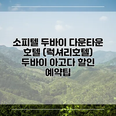 소피텔 두바이 다운타운 호텔 (럭셔리호텔) 두바이 아고다 할인 예약팁