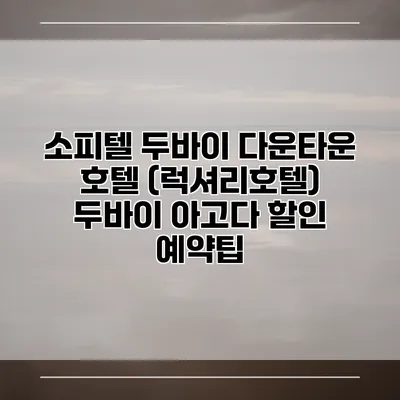 소피텔 두바이 다운타운 호텔 (럭셔리호텔) 두바이 아고다 할인 예약팁