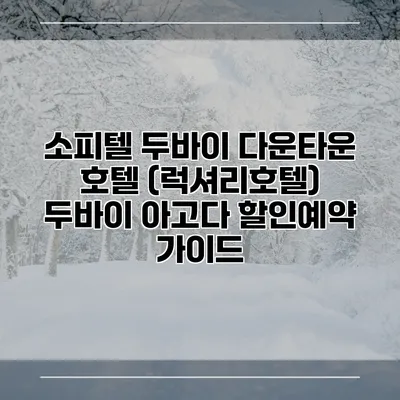 소피텔 두바이 다운타운 호텔 (럭셔리호텔) 두바이 아고다 할인예약 가이드