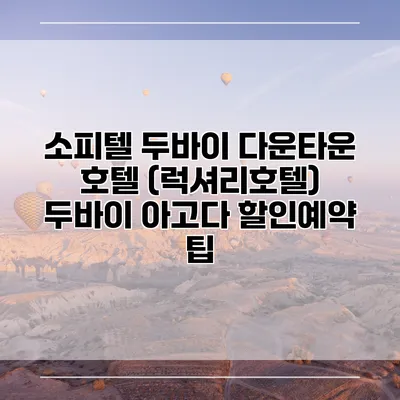 소피텔 두바이 다운타운 호텔 (럭셔리호텔) 두바이 아고다 할인예약 팁