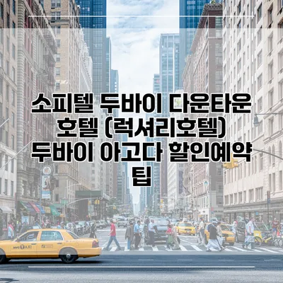 소피텔 두바이 다운타운 호텔 (럭셔리호텔) 두바이 아고다 할인예약 팁