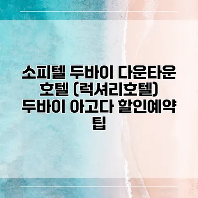 소피텔 두바이 다운타운 호텔 (럭셔리호텔) 두바이 아고다 할인예약 팁