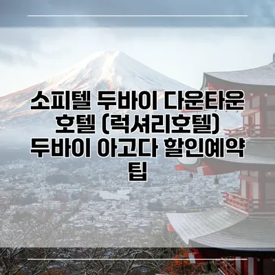 소피텔 두바이 다운타운 호텔 (럭셔리호텔) 두바이 아고다 할인예약 팁