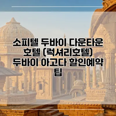 소피텔 두바이 다운타운 호텔 (럭셔리호텔) 두바이 아고다 할인예약 팁
