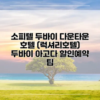 소피텔 두바이 다운타운 호텔 (럭셔리호텔) 두바이 아고다 할인예약 팁