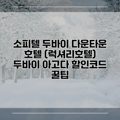 소피텔 두바이 다운타운 호텔 (럭셔리호텔) 두바이 아고다 할인코드 꿀팁