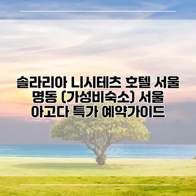 솔라리아 니시테츠 호텔 서울 명동 (가성비숙소) 서울 아고다 특가 예약가이드