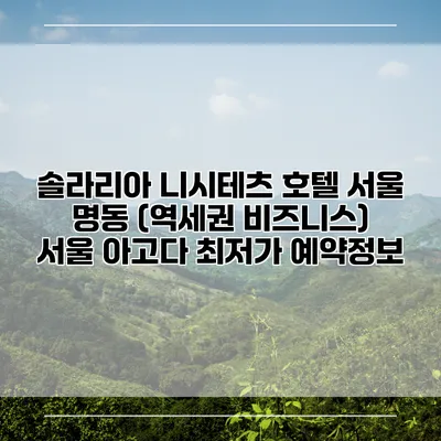 솔라리아 니시테츠 호텔 서울 명동 (역세권 비즈니스) 서울 아고다 최저가 예약정보