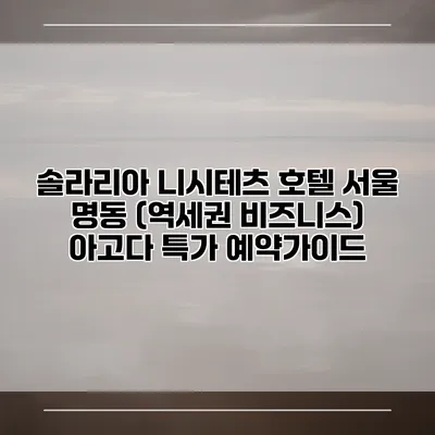 솔라리아 니시테츠 호텔 서울 명동 (역세권 비즈니스) 아고다 특가 예약가이드