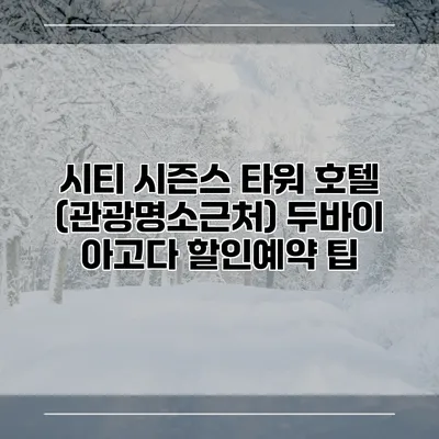 시티 시즌스 타워 호텔 (관광명소근처) 두바이 아고다 할인예약 팁