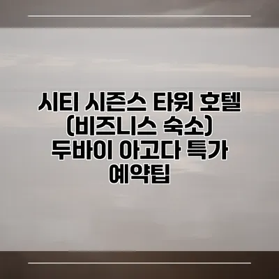 시티 시즌스 타워 호텔 (비즈니스 숙소) 두바이 아고다 특가 예약팁