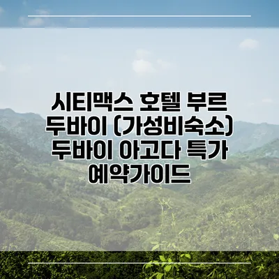시티맥스 호텔 부르 두바이 (가성비숙소) 두바이 아고다 특가 예약가이드