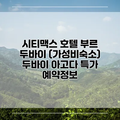 시티맥스 호텔 부르 두바이 (가성비숙소) 두바이 아고다 특가 예약정보