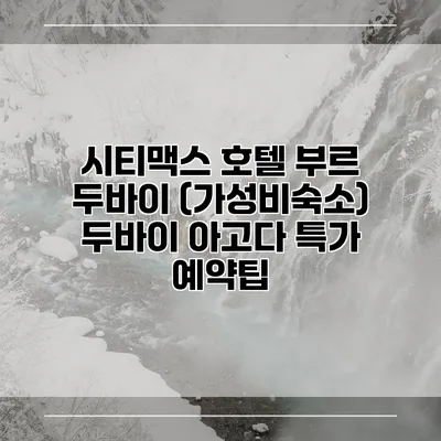 시티맥스 호텔 부르 두바이 (가성비숙소) 두바이 아고다 특가 예약팁