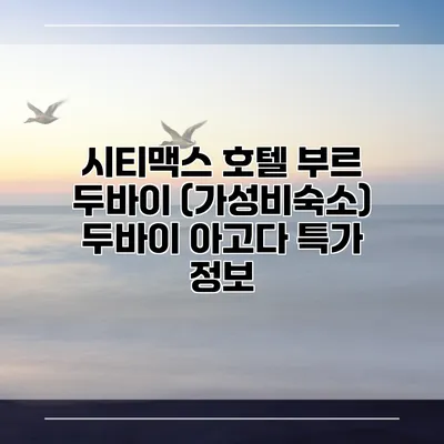 시티맥스 호텔 부르 두바이 (가성비숙소) 두바이 아고다 특가 정보